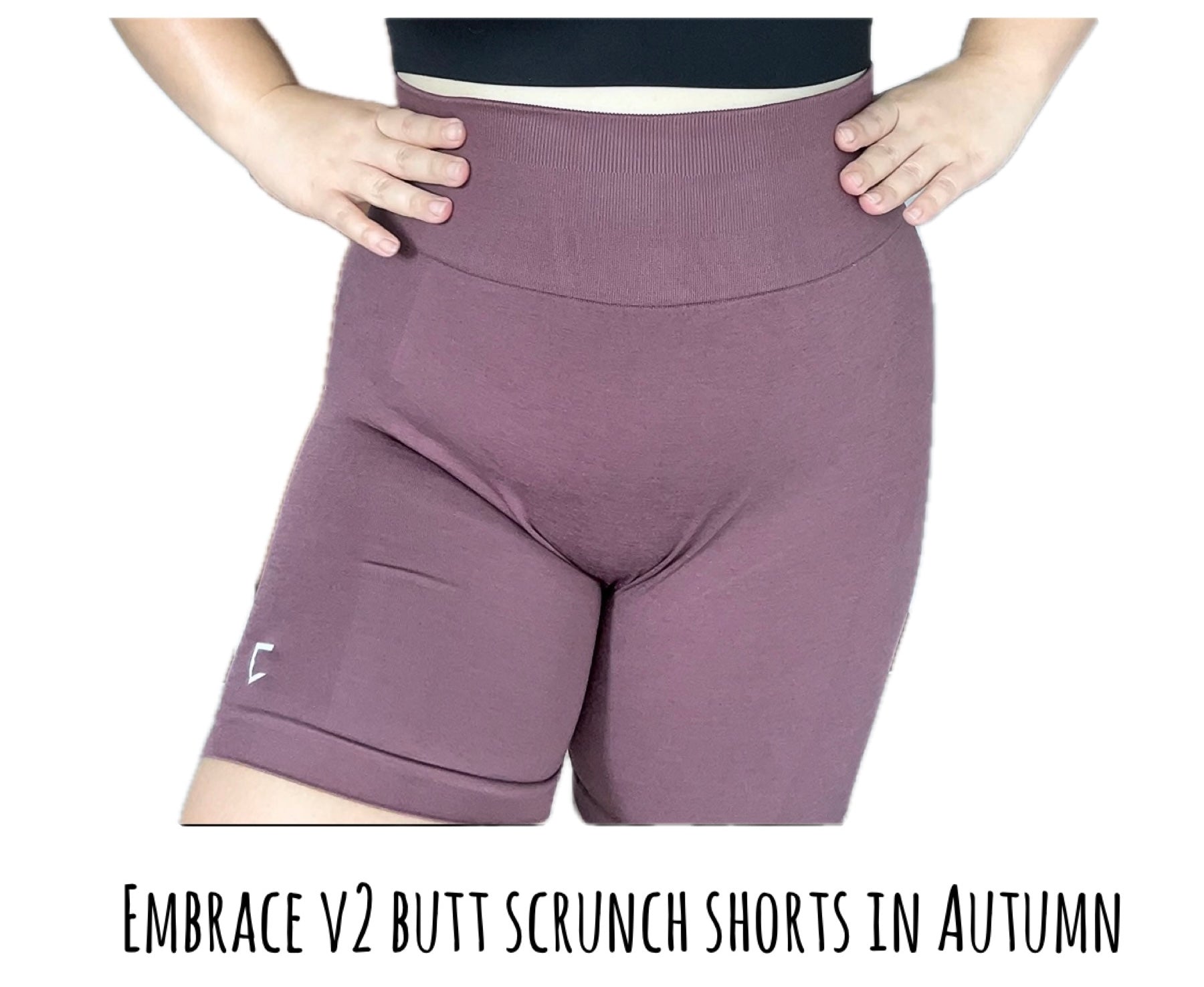 Embrace butt scrunch seamless shorts V2 ( 4 inch inseam)- 3 tier waist band