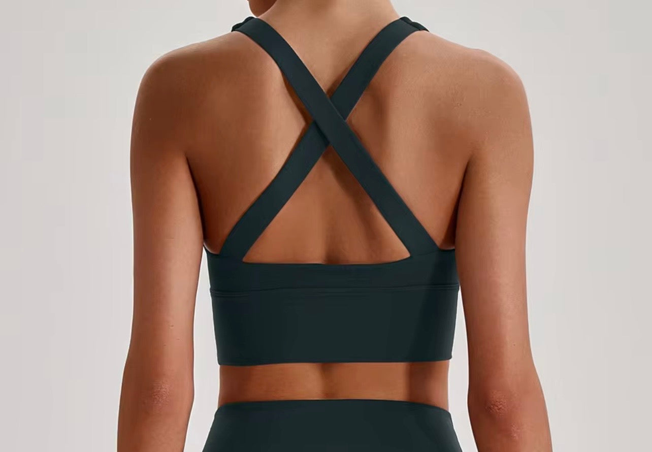 Reine 2026 cross back longline bra (same fabric as Elite series)