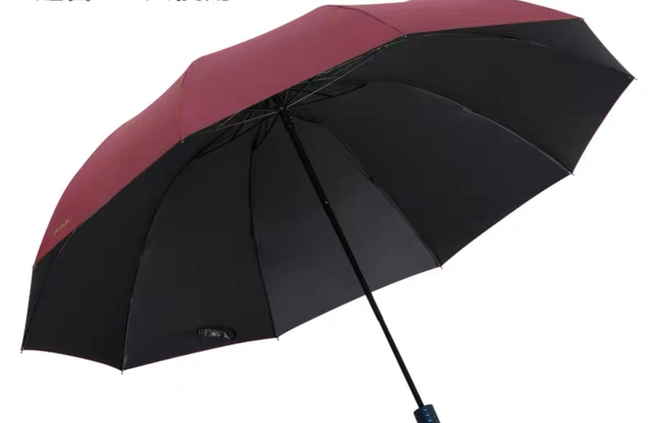 Foldable Umbrella (can cover 3 pax)