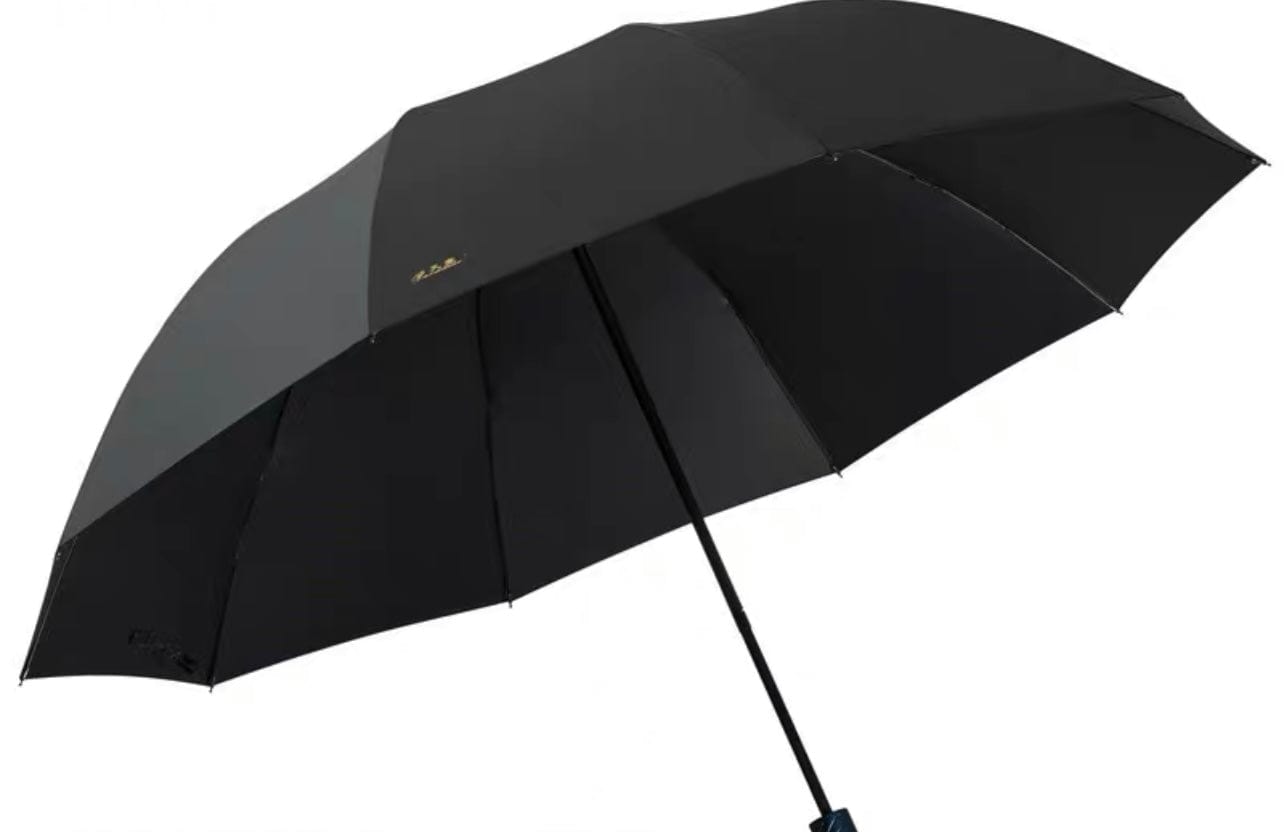 Foldable Umbrella (can cover 3 pax)