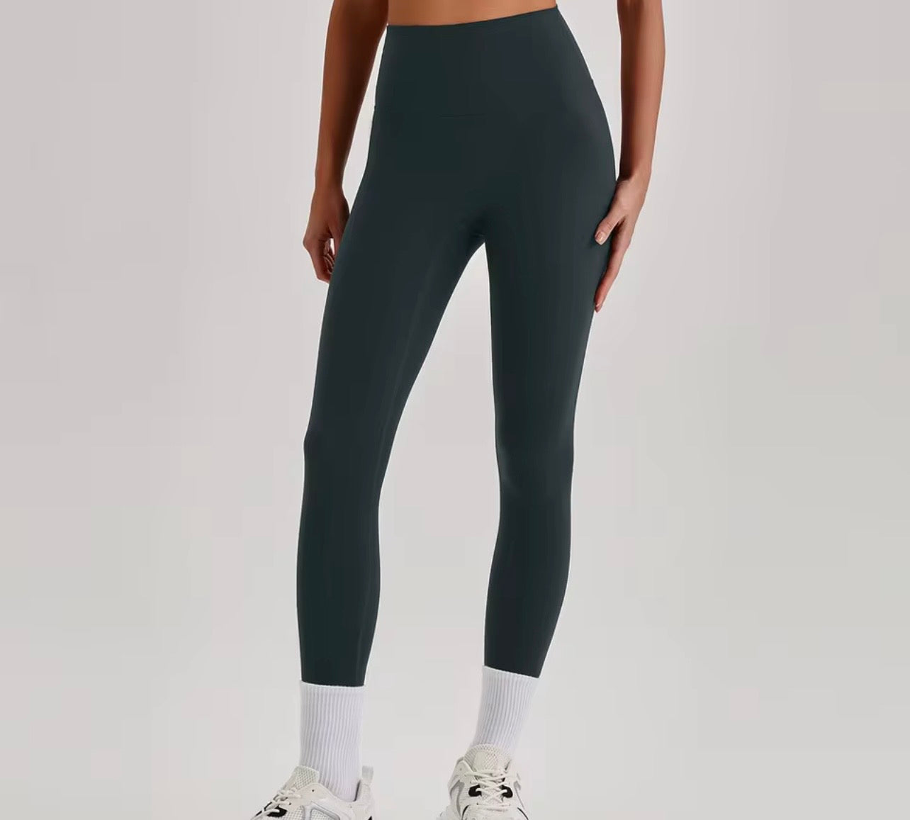 Reine 2026 seamless leggings (same fabric as  Elite series)