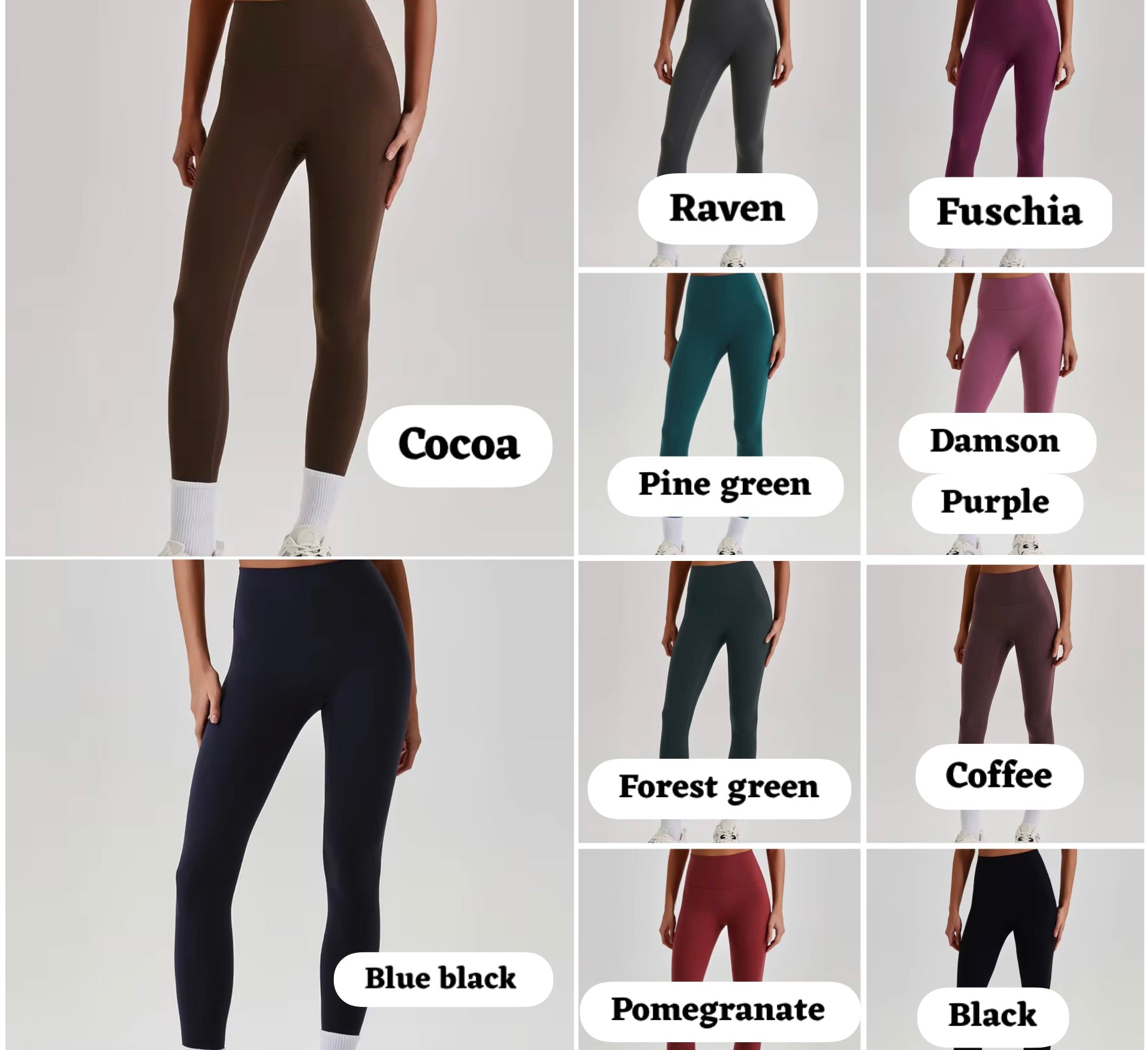 Reine 2026 seamless leggings (same fabric as  Elite series)